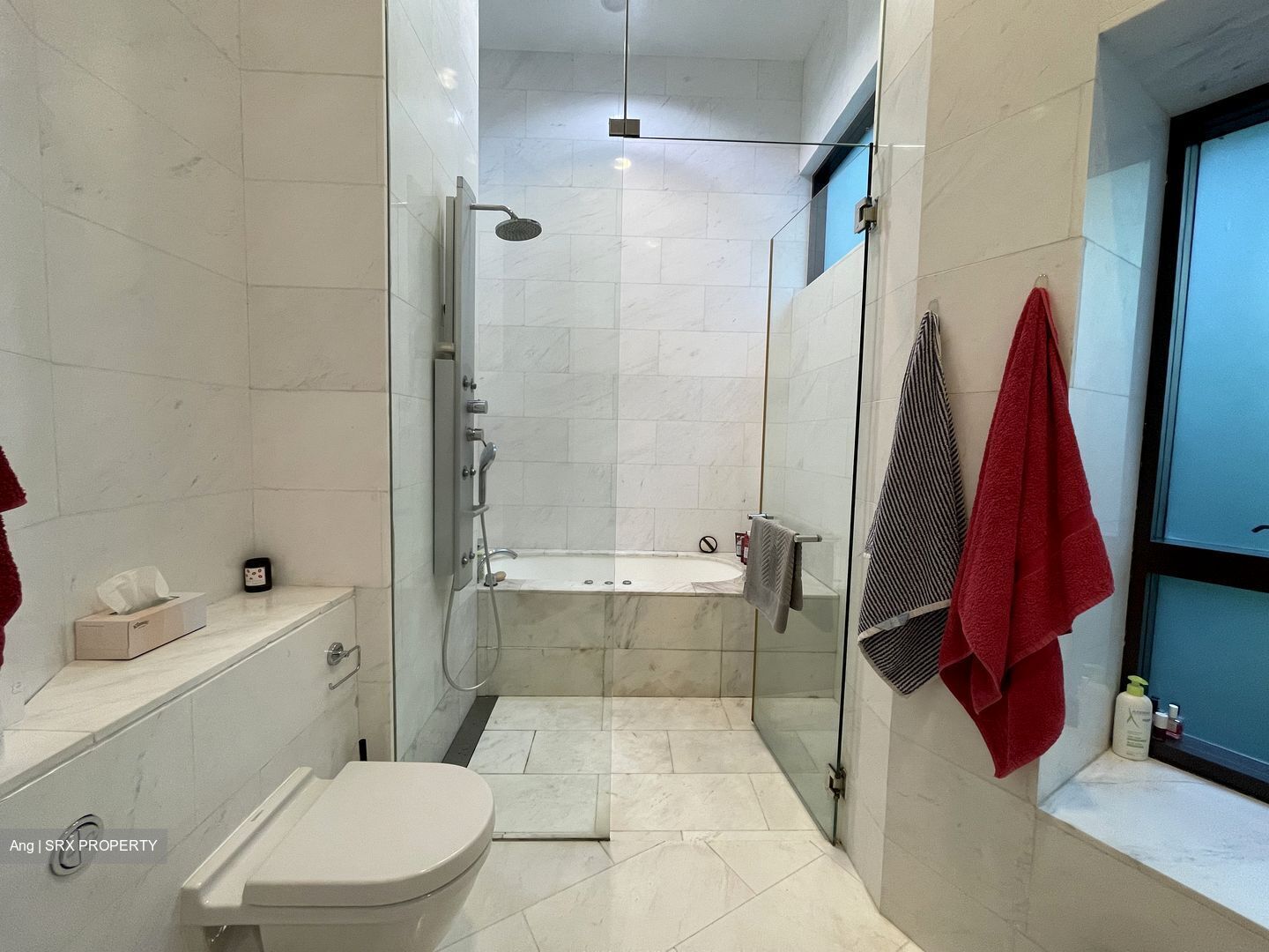 Belle Vue Residences (D9), Condominium #433115911